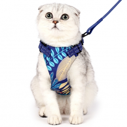 新款反光猫背带牵引绳